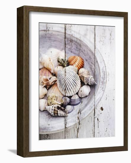 Nantucket Shells I-James Guilliam-Framed Art Print