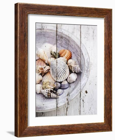 Nantucket Shells I-James Guilliam-Framed Art Print