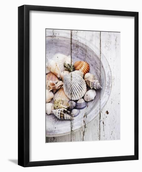 Nantucket Shells I-James Guilliam-Framed Art Print