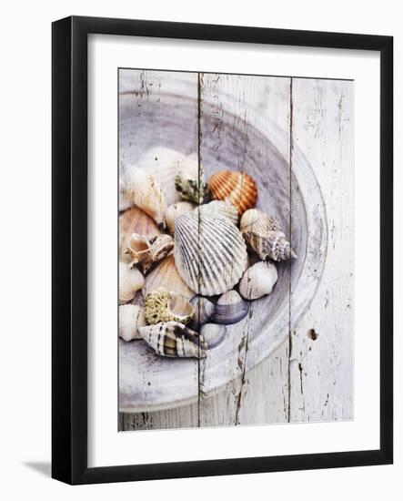 Nantucket Shells I-James Guilliam-Framed Art Print