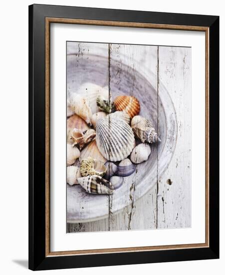 Nantucket Shells I-James Guilliam-Framed Art Print