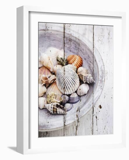 Nantucket Shells I-James Guilliam-Framed Art Print