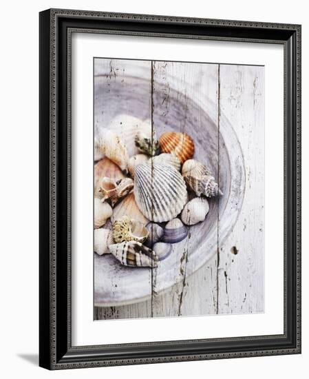 Nantucket Shells I-James Guilliam-Framed Art Print