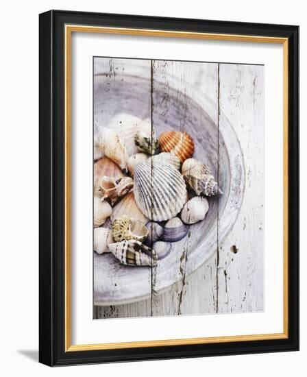 Nantucket Shells I-James Guilliam-Framed Art Print