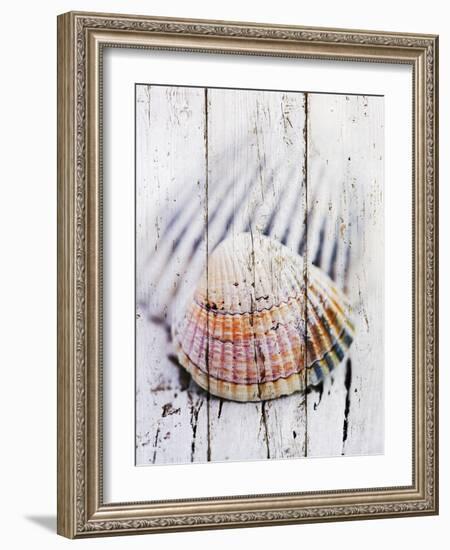 Nantucket Shells II-James Guilliam-Framed Art Print
