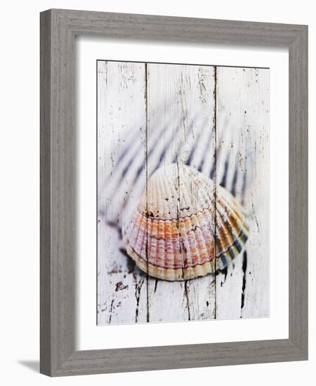 Nantucket Shells II-James Guilliam-Framed Art Print