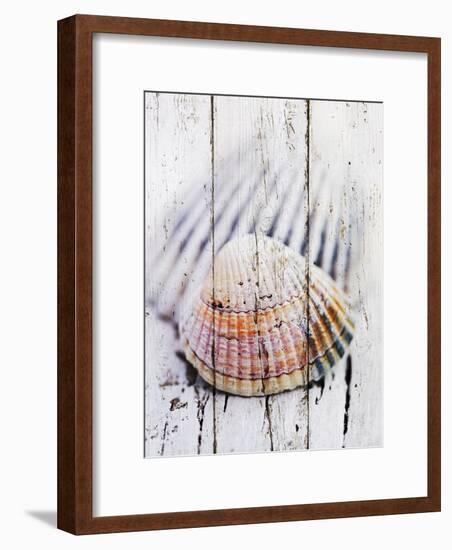 Nantucket Shells II-James Guilliam-Framed Art Print