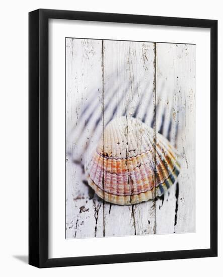 Nantucket Shells II-James Guilliam-Framed Art Print