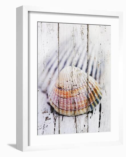 Nantucket Shells II-James Guilliam-Framed Art Print