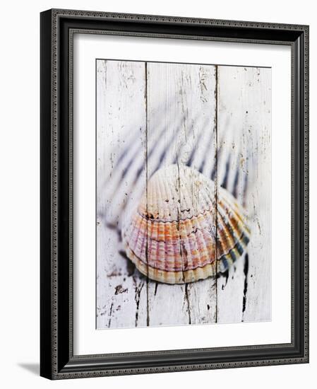 Nantucket Shells II-James Guilliam-Framed Art Print