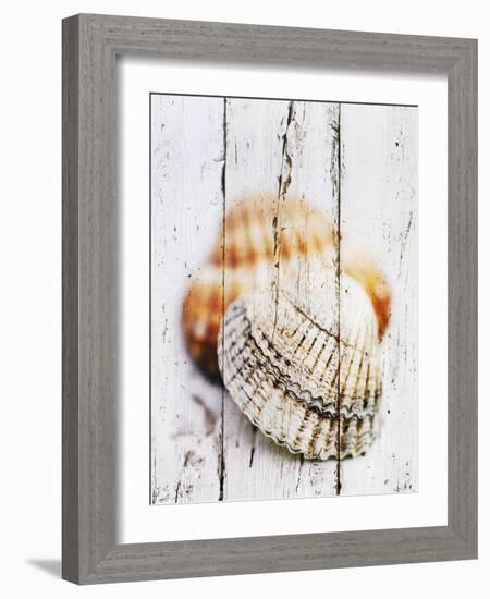 Nantucket Shells III-James Guilliam-Framed Art Print