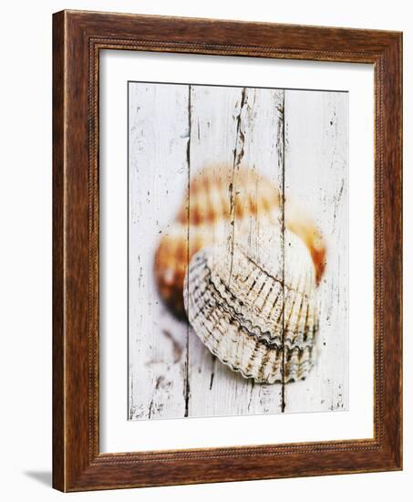 Nantucket Shells III-James Guilliam-Framed Art Print