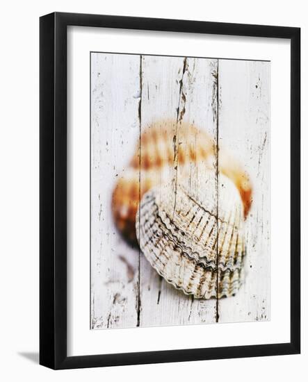Nantucket Shells III-James Guilliam-Framed Art Print
