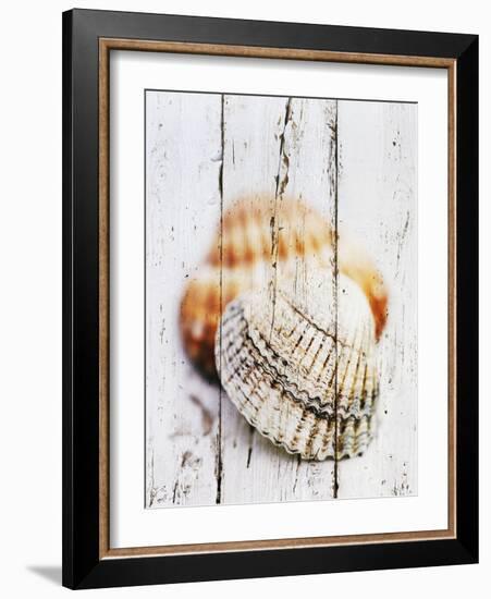 Nantucket Shells III-James Guilliam-Framed Giclee Print