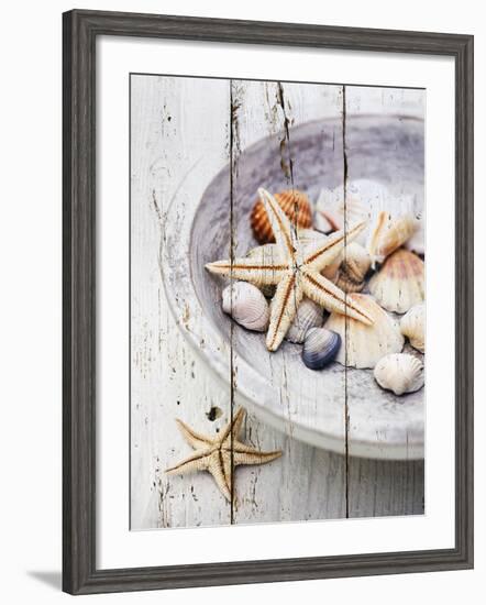 Nantucket Shells IV-James Guilliam-Framed Giclee Print