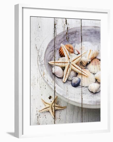 Nantucket Shells IV-James Guilliam-Framed Giclee Print