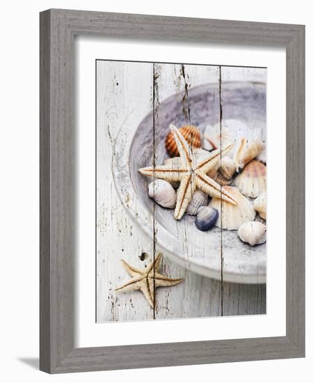 Nantucket Shells IV-James Guilliam-Framed Art Print