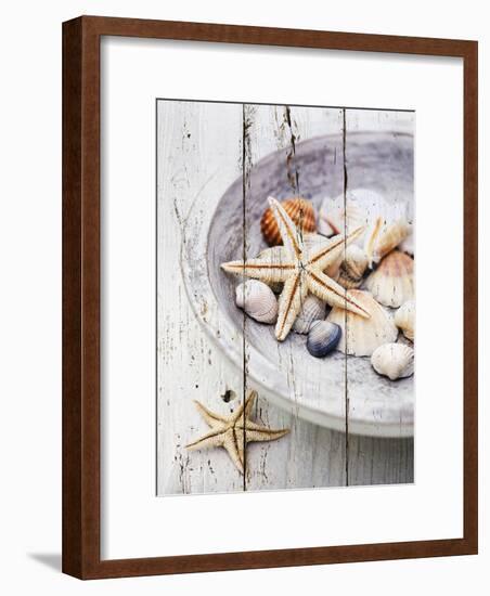 Nantucket Shells IV-James Guilliam-Framed Art Print