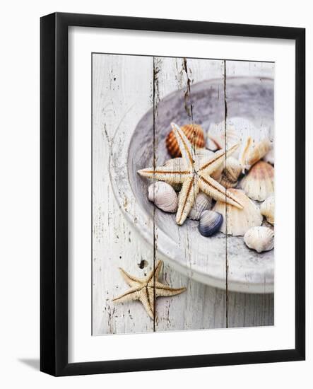 Nantucket Shells IV-James Guilliam-Framed Art Print