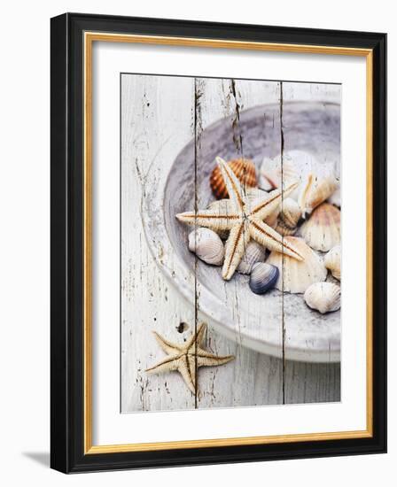 Nantucket Shells IV-James Guilliam-Framed Art Print