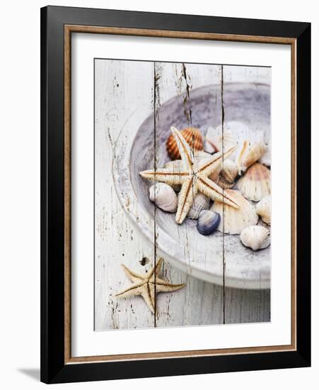 Nantucket Shells IV-James Guilliam-Framed Giclee Print