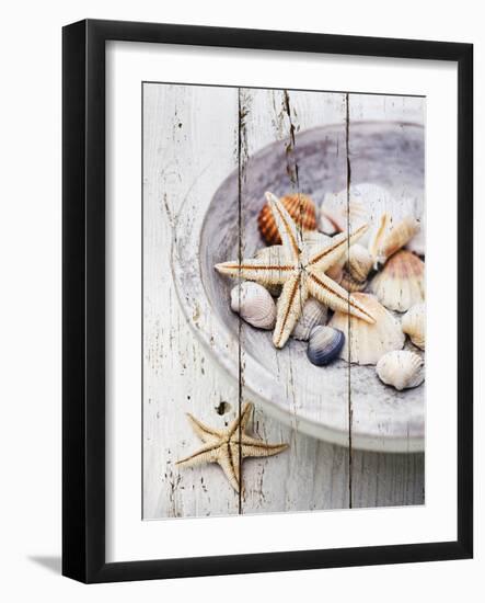 Nantucket Shells IV-James Guilliam-Framed Giclee Print