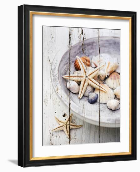 Nantucket Shells IV-James Guilliam-Framed Giclee Print