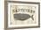 Nantucket Whale-Avery Tillmon-Framed Art Print