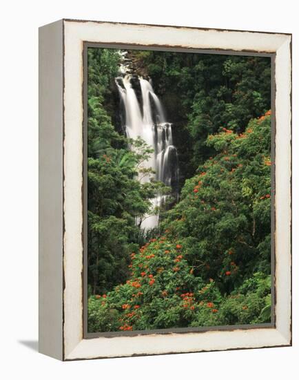 Nanue Falls, Alexandra Palms and African Tulip Trees, Hawaii, USA-Stuart Westmorland-Framed Premier Image Canvas