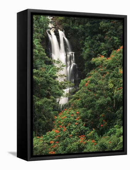Nanue Falls, Alexandra Palms and African Tulip Trees, Hawaii, USA-Stuart Westmorland-Framed Premier Image Canvas