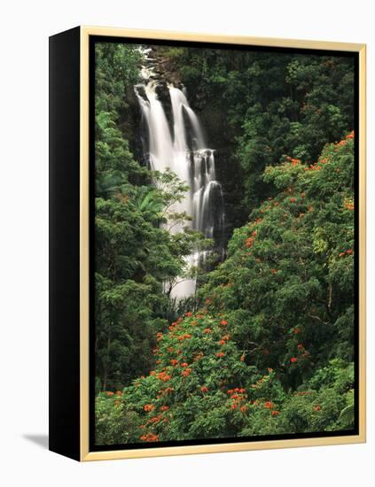 Nanue Falls, Alexandra Palms and African Tulip Trees, Hawaii, USA-Stuart Westmorland-Framed Premier Image Canvas