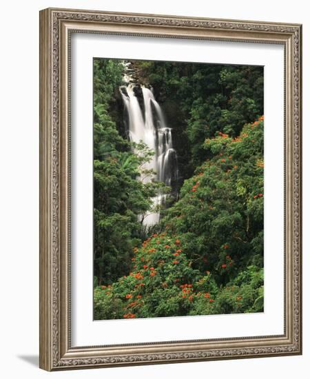 Nanue Falls, Alexandra Palms and African Tulip Trees, Hawaii, USA-Stuart Westmorland-Framed Photographic Print