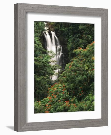 Nanue Falls, Alexandra Palms and African Tulip Trees, Hawaii, USA-Stuart Westmorland-Framed Photographic Print