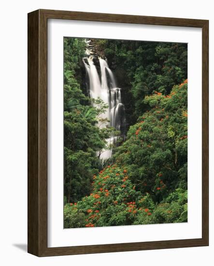 Nanue Falls, Alexandra Palms and African Tulip Trees, Hawaii, USA-Stuart Westmorland-Framed Photographic Print