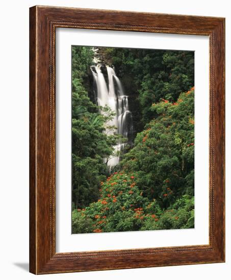 Nanue Falls, Alexandra Palms and African Tulip Trees, Hawaii, USA-Stuart Westmorland-Framed Photographic Print