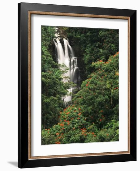 Nanue Falls, Alexandra Palms and African Tulip Trees, Hawaii, USA-Stuart Westmorland-Framed Photographic Print