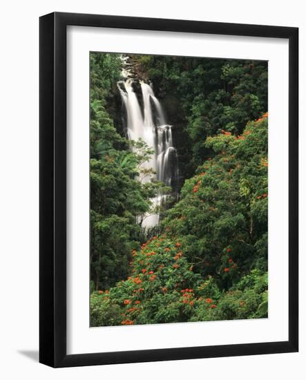 Nanue Falls, Alexandra Palms and African Tulip Trees, Hawaii, USA-Stuart Westmorland-Framed Photographic Print