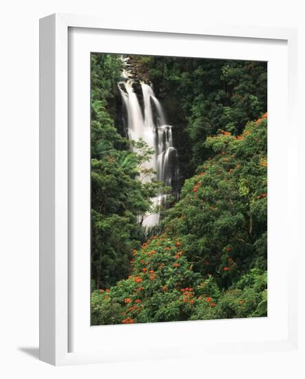 Nanue Falls, Alexandra Palms and African Tulip Trees, Hawaii, USA-Stuart Westmorland-Framed Photographic Print