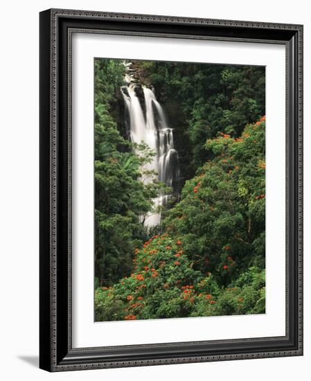 Nanue Falls, Alexandra Palms and African Tulip Trees, Hawaii, USA-Stuart Westmorland-Framed Photographic Print