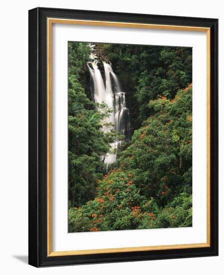 Nanue Falls, Alexandra Palms and African Tulip Trees, Hawaii, USA-Stuart Westmorland-Framed Photographic Print