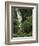 Nanue Falls, Alexandra Palms and African Tulip Trees, Hawaii, USA-Stuart Westmorland-Framed Photographic Print