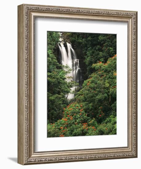 Nanue Falls, Alexandra Palms and African Tulip Trees, Hawaii, USA-Stuart Westmorland-Framed Photographic Print