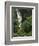 Nanue Falls, Alexandra Palms and African Tulip Trees, Hawaii, USA-Stuart Westmorland-Framed Photographic Print