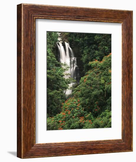 Nanue Falls, Alexandra Palms and African Tulip Trees, Hawaii, USA-Stuart Westmorland-Framed Photographic Print