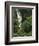 Nanue Falls, Alexandra Palms and African Tulip Trees, Hawaii, USA-Stuart Westmorland-Framed Photographic Print