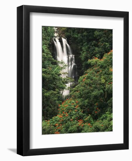 Nanue Falls, Alexandra Palms and African Tulip Trees, Hawaii, USA-Stuart Westmorland-Framed Photographic Print