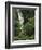 Nanue Falls, Alexandra Palms and African Tulip Trees, Hawaii, USA-Stuart Westmorland-Framed Photographic Print