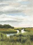 Marsh Landscapes I-Naomi McCavitt-Art Print