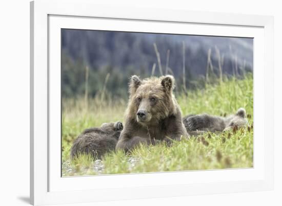 Nap Time-Wink Gaines-Framed Giclee Print