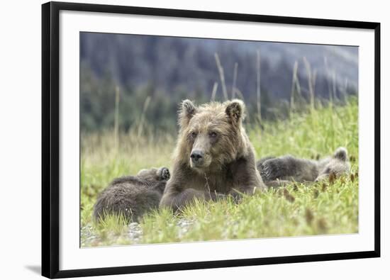 Nap Time-Wink Gaines-Framed Giclee Print